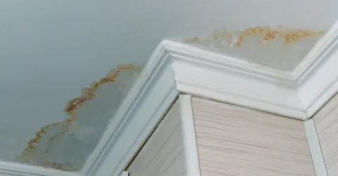 signs of water leak in wall